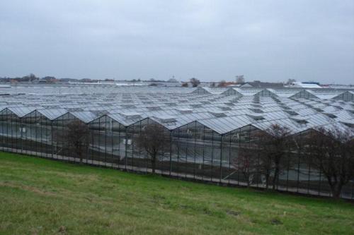 Holland_kustweg_008a