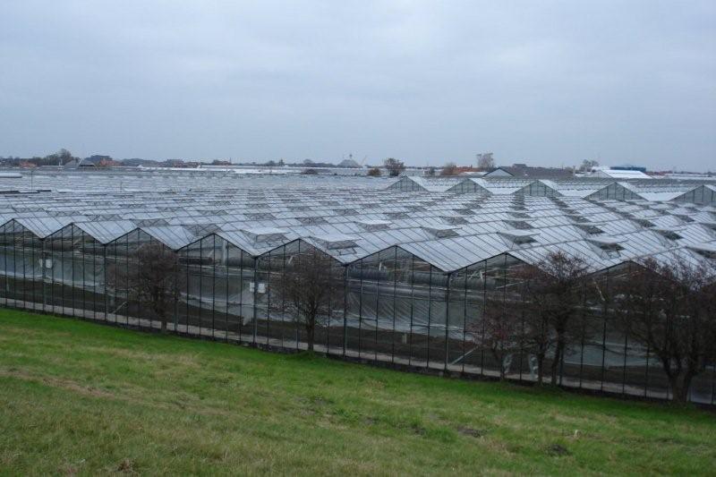 Holland_kustweg_008a