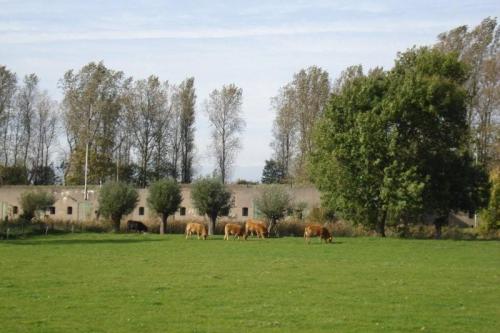 Fietsen_in_2008_007b