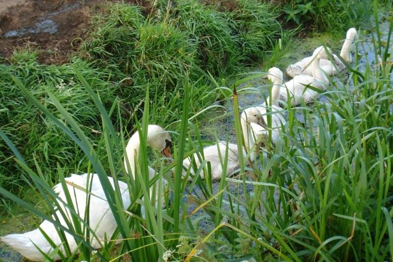 Fietsen_in_2008_002c