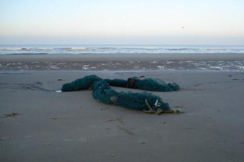 Holland_kustweg_007a