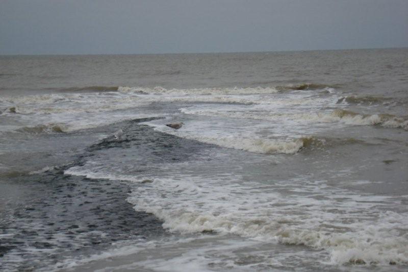 Holland_kustweg_009a