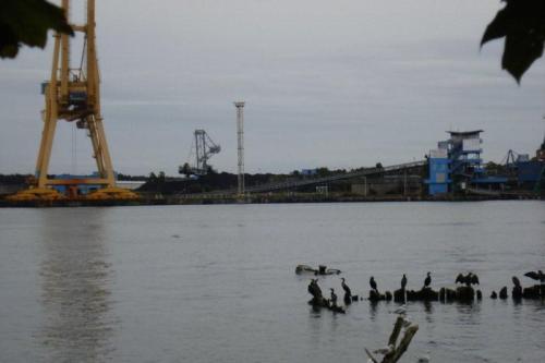 Swinnemnde_haven_m_aalsch_1