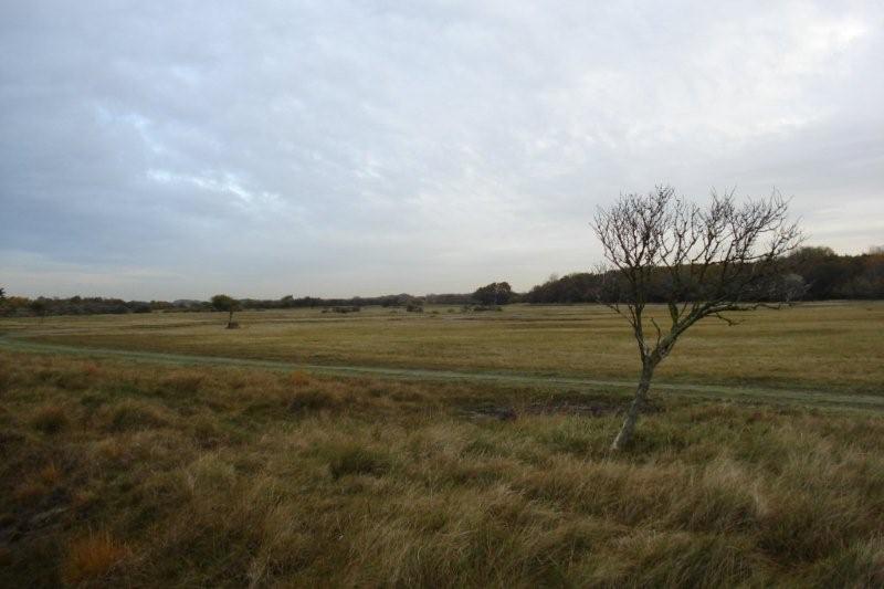 Holland_kustweg_004e