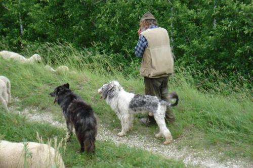 Oostenrijk_en_itali_068