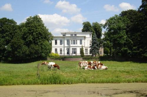 Fietsen_in_2008_009b