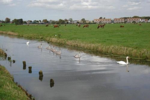 Fietsen_in_2008_002e