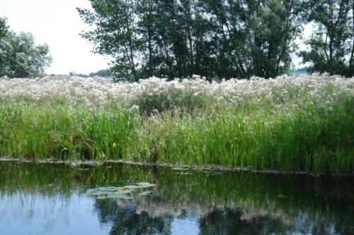 Fietsen_in_2008_004d