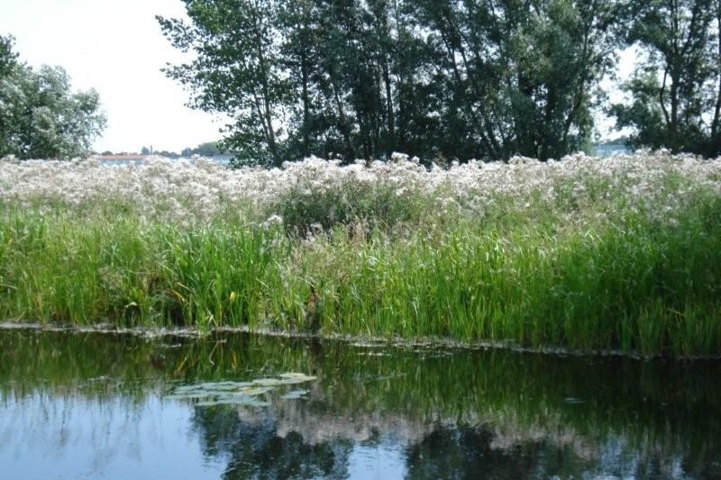 Fietsen_in_2008_004d