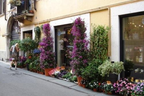 Oostenrijk_en_itali_100