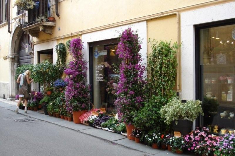 Oostenrijk_en_itali_100