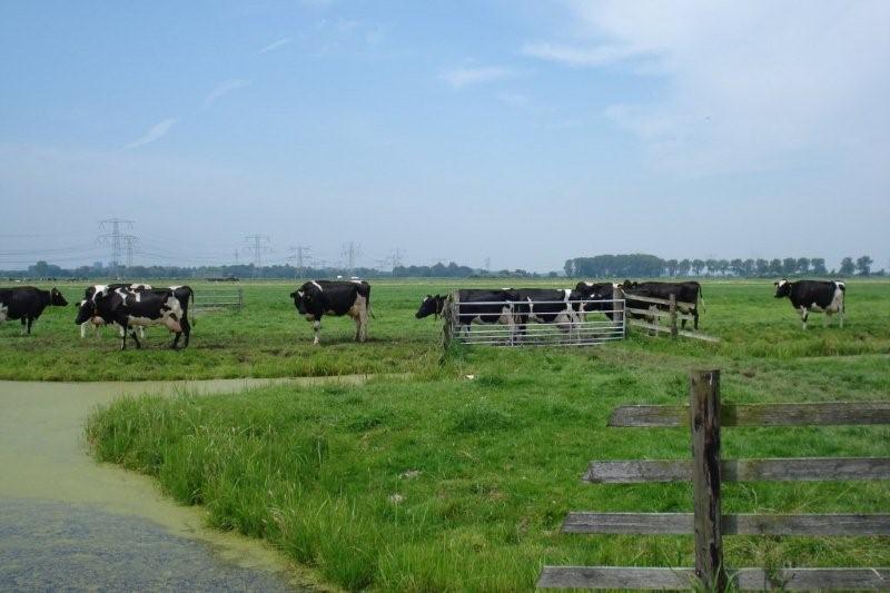 Fietsen_in_2008_004e