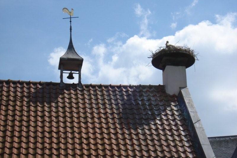 Fietsen_in_2008_011a