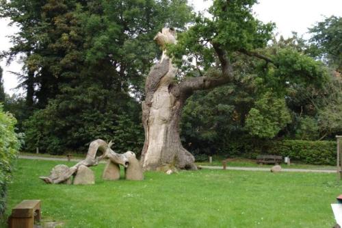 Hanze_024_dtlingen_oude_eik