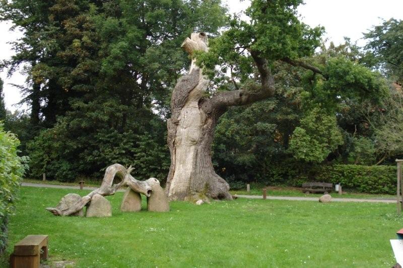 Hanze_024_dtlingen_oude_eik