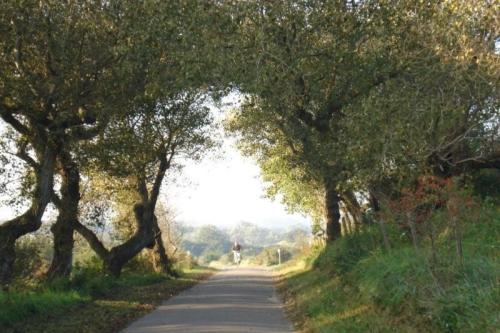 Fietsen_in_2008_002a