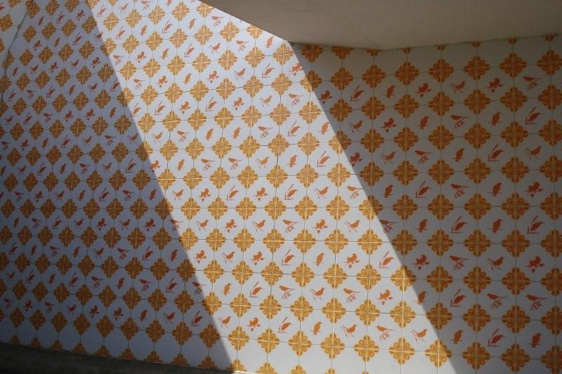 Fietsen_in_2008_034a