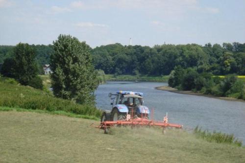 Fietsen_in_2008_025a