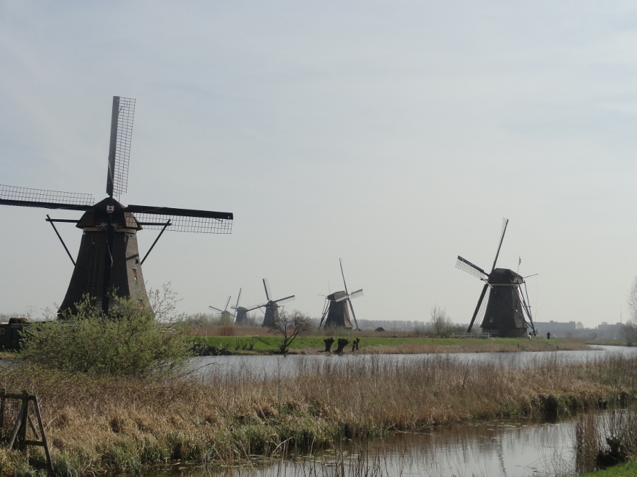 Kinderdijk