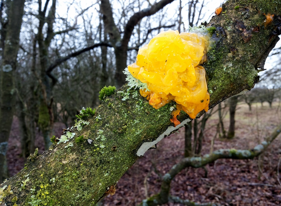 20140210_144141 (900x662)