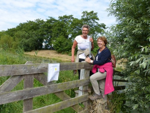 2014-06-21 003 (800x600)