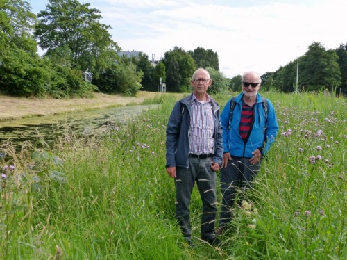 2014-06-21 008 (800x599)