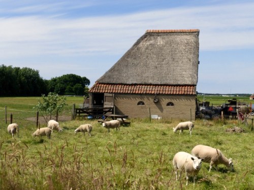 2014-06-23 045 (800x600)