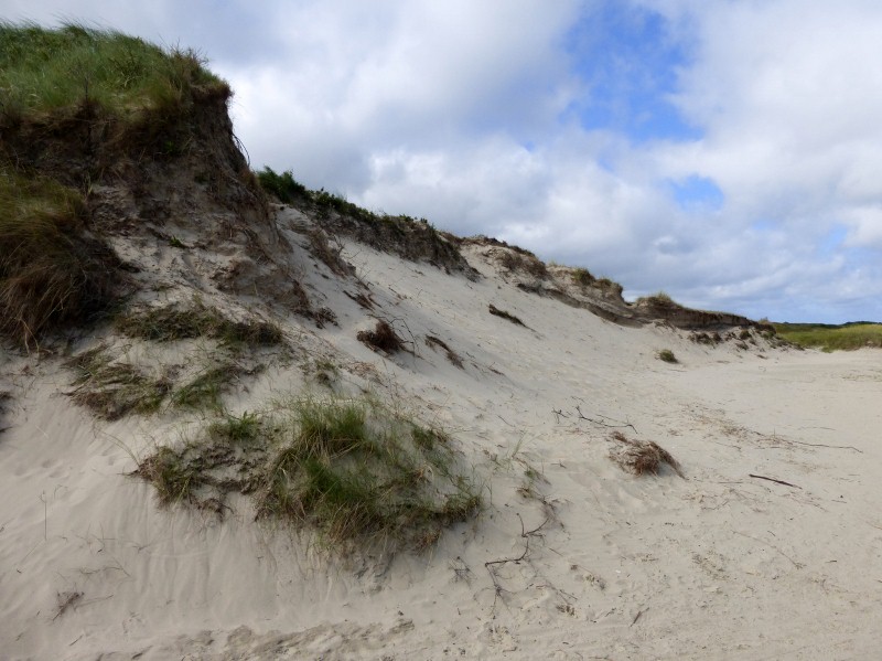 2014-06-24 014 (800x599)