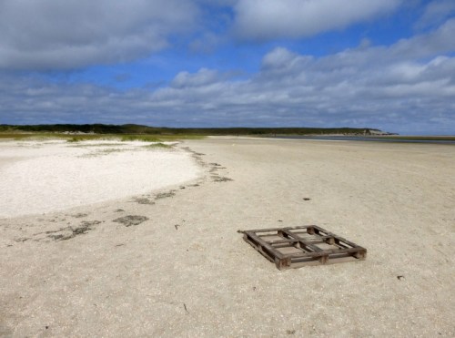 2014-06-24 018 (800x595)