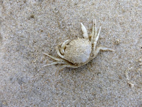 2014-06-24 023 (800x600)