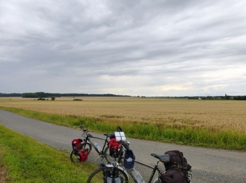 2014-07-08 007 (800x598)