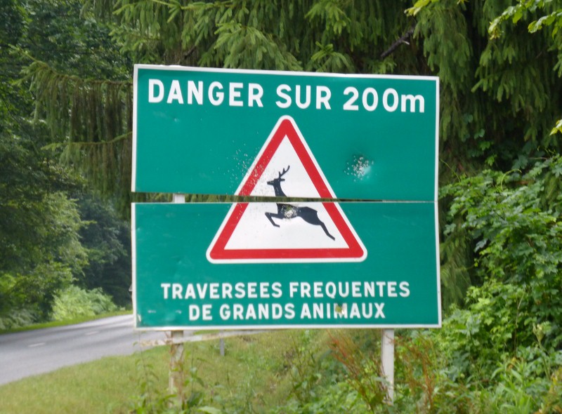 2014-07-09 002 (800x590)