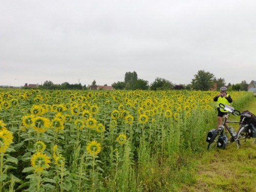 2014-07-10 010 (800x600)