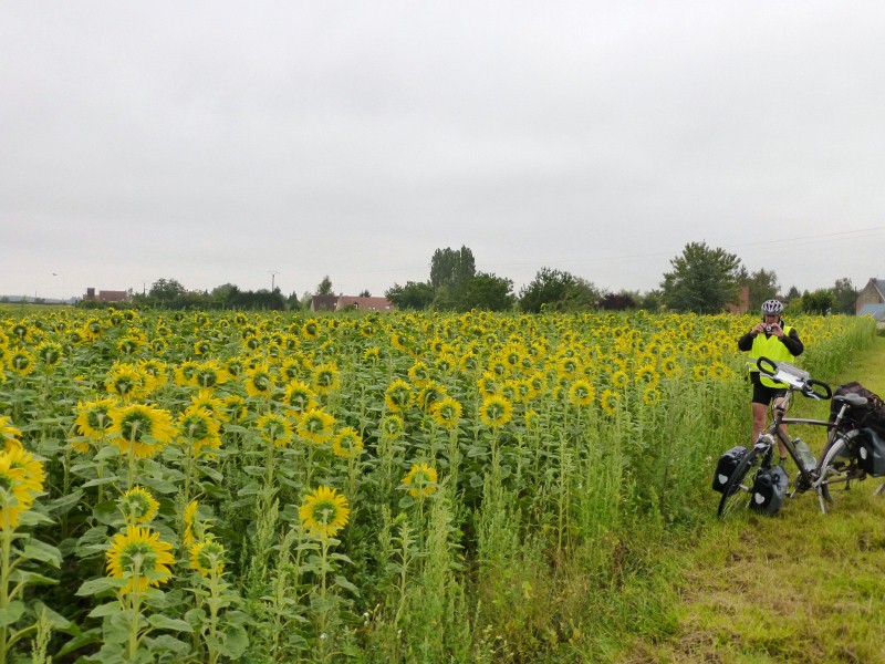 2014-07-10 010 (800x600)