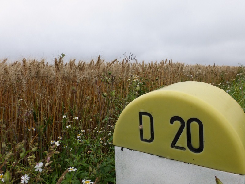 2014-07-11 003 (800x600)