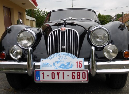 2014-07-11 012 (800x587)