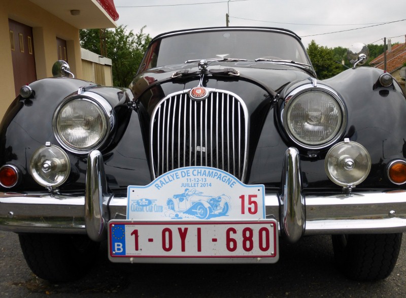 2014-07-11 012 (800x587)