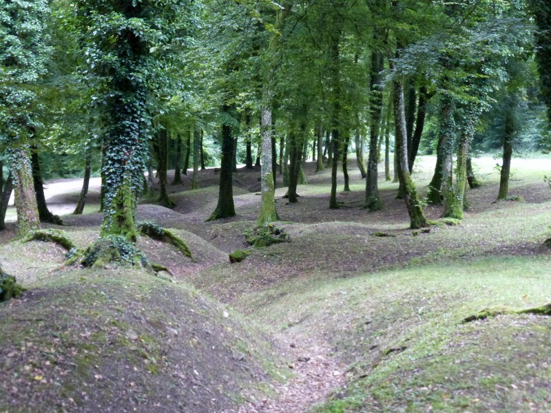 2014-07-12 014 (800x600)