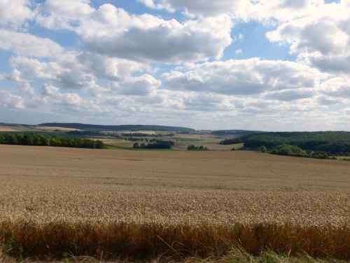 2014-07-14 025 (800x600)