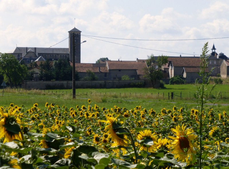 2014-07-15 004 (800x591)