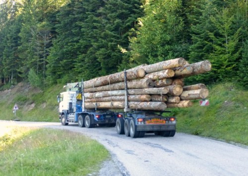 2014-07-17 011 (800x569)