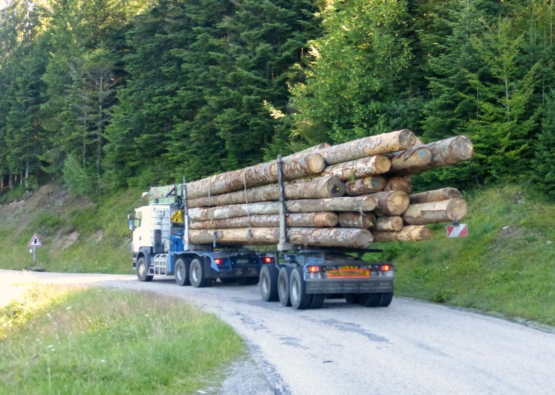 2014-07-17 011 (800x569)