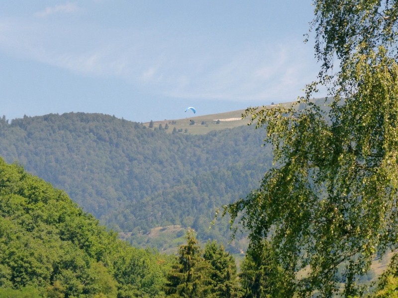 2014-07-17 019 (800x600)