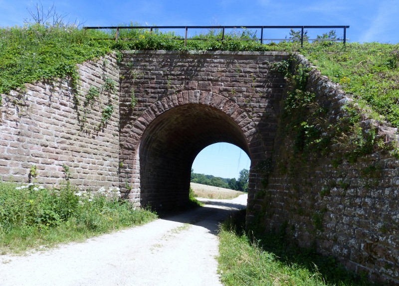 2014-07-18 007 (800x574)