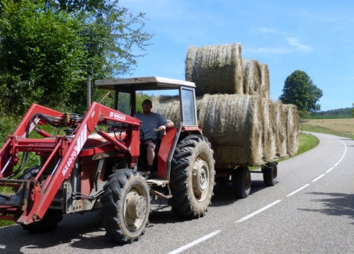 2014-07-18 013 (800x575)