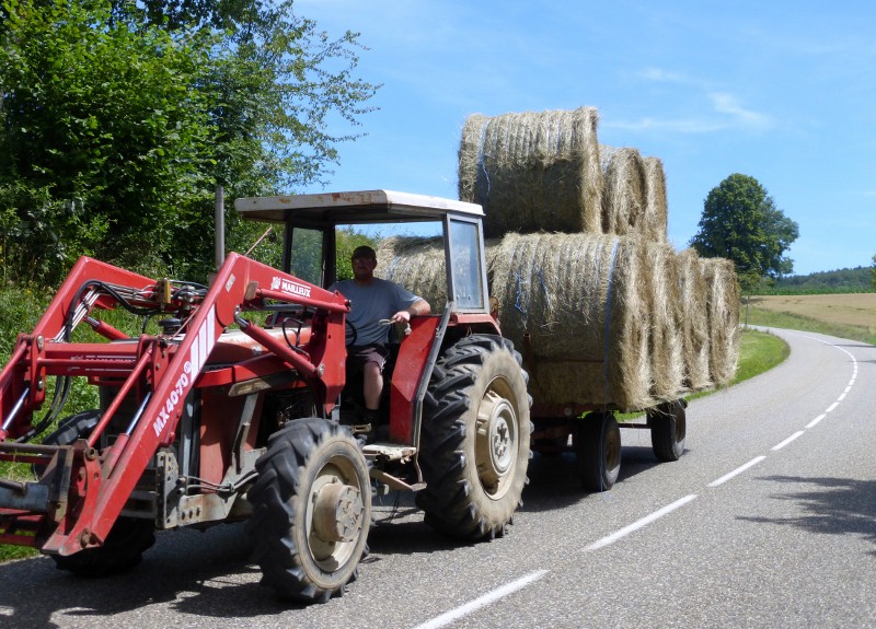 2014-07-18 013 (800x575)