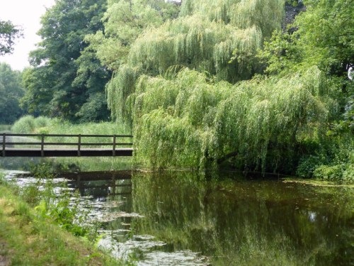 2014-07-28 024 (800x600)